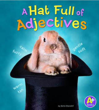 Hat Full of Adjectives