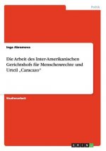 Arbeit des Inter-Amerikanischen Gerichtshofs fur Menschenrechte und Urteil 