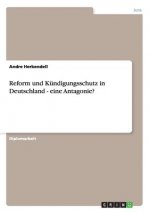 Reform und Kündigungsschutz in Deutschland - eine Antagonie?