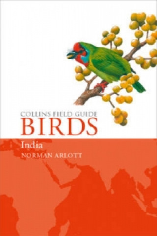 Birds of India