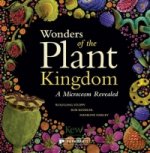 Wonders of the Plant Kingdom: A Microcosm Revealed