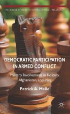 Democratic Participation in Armed Conflict