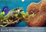 Bunte Riffbewohner - Fische, Anemonen und noch viel mehr (Wandkalender immerwährend DIN A4 quer)
