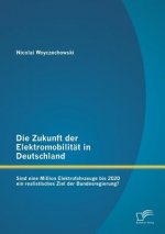 Zukunft der Elektromobilitat in Deutschland