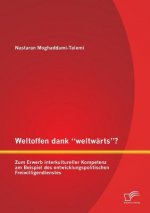 Weltoffen dank weltwarts? Zum Erwerb interkultureller Kompetenz am Beispiel des entwicklungspolitischen Freiwilligendienstes