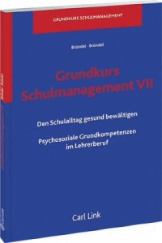 Grundkurs Schulmanagement VII