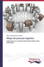 Mapa de proceso logistico