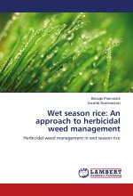Wet season rice