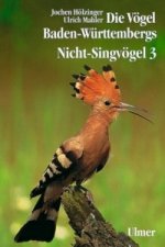 Die Vögel Baden-Württembergs. (Avifauna Baden-Württembergs) / Die Vögel Baden-Württembergs Band 2.3 - Nicht-Singvögel 3. Tl.3