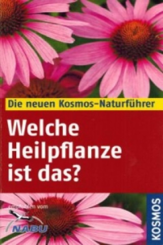 Welche Heilpflanze ist das?