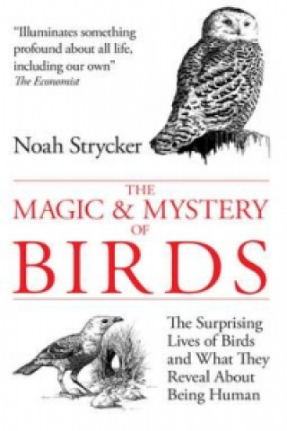 Magic & Mystery of Birds