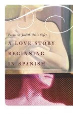 Love Story Beginning in Spanish