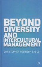 Beyond Diversity and Intercultural Management