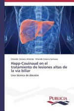 Hepp-Couinaud en el tratamiento de lesiones altas de la via biliar