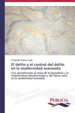 delito y el control del delito en la modernidad avanzada