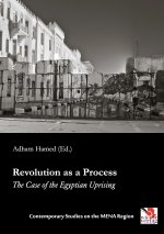 Revolution as a Process