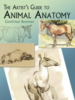Artist's Guide to Animal Anatomy