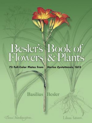 Besler's Book of Flowers and Plants