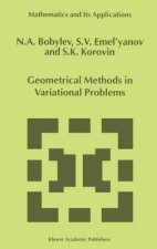 Geometrical Methods in Variational Problems