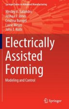 Electrically Assisted Forming