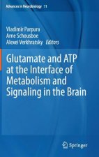 Glutamate and ATP at the Interface of Metabolism and Signaling in the Brain, 1