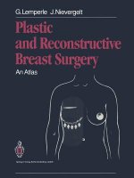 Plastic and Reconstructive Breast Surgery