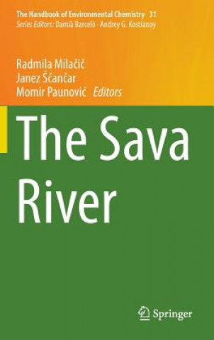 Sava River