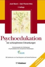Psychoedukation bei schizophrenen Erkrankungen, m. CD-ROM