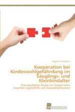 Kooperation bei Kindeswohlgefahrdung im Sauglings- und Kleinkindalter