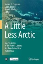 Little Less Arctic