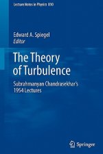 Theory of Turbulence