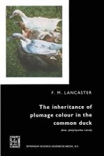inheritance of plumage colour in the common duck (Anas platyrhynchos linne)