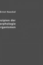 Prinzipien der generellen Morphologie der Organismen