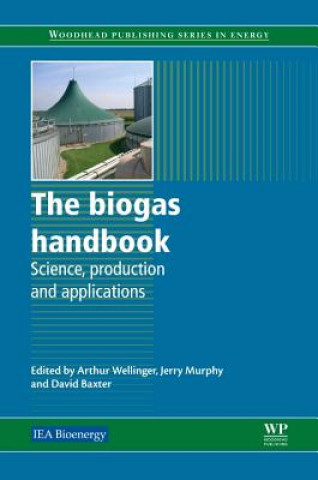 Biogas Handbook