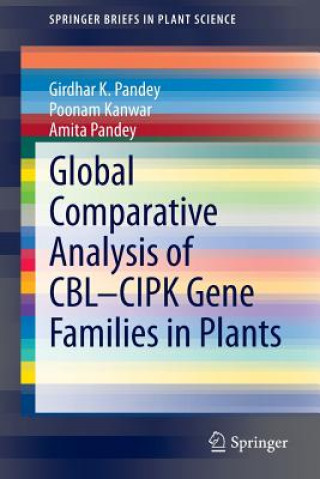 Global Comparative Analysis of CBL-CIPK Gene Families in Plants, 1 (Girdhar Pandey, Poonam Kanwar, Amita Pandey)(Miękka)