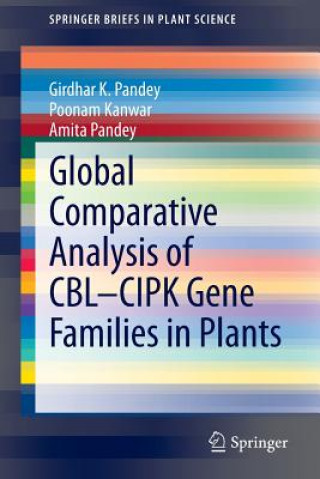 Global Comparative Analysis of CBL-CIPK Gene Families in Plants, 1