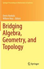 Bridging Algebra, Geometry, and Topology, 1