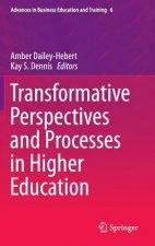 Transformative Perspectives and Processes in Higher Education