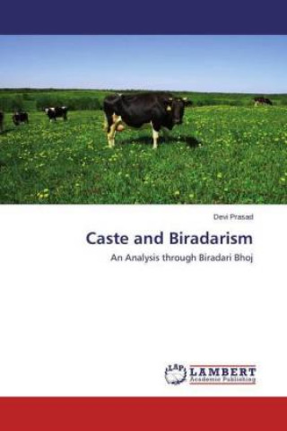 Caste and Biradarism