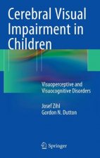 Cerebral Visual Impairment in Children