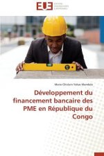 D veloppement Du Financement Bancaire Des Pme En R publique Du Congo