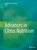 Advances in Citrus Nutrition, 1
