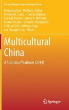 Multicultural China