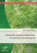 Hydrothermale Vergasung von Algenbiomasse