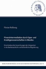 Finanzintermediation durch Spar- und Kreditgenossenschaften in Mexiko
