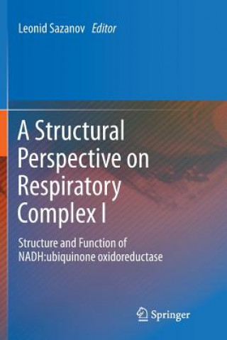 Structural Perspective on Respiratory Complex I
