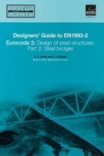 Designers´ Guide to En 1993-2 Eurocode 3