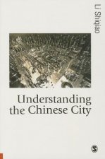 Understanding the Chinese City