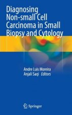 Diagnosing Non-small Cell Carcinoma in Small Biopsy and Cytology, 1