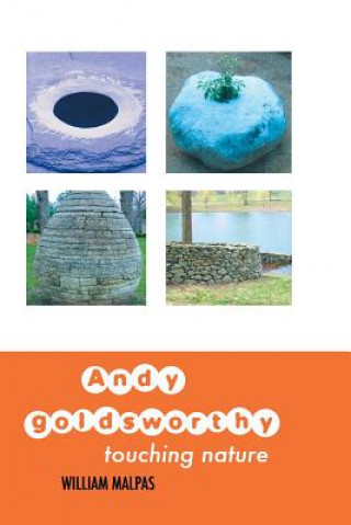 Andy Goldsworthy (WILLIAM MALPAS)()